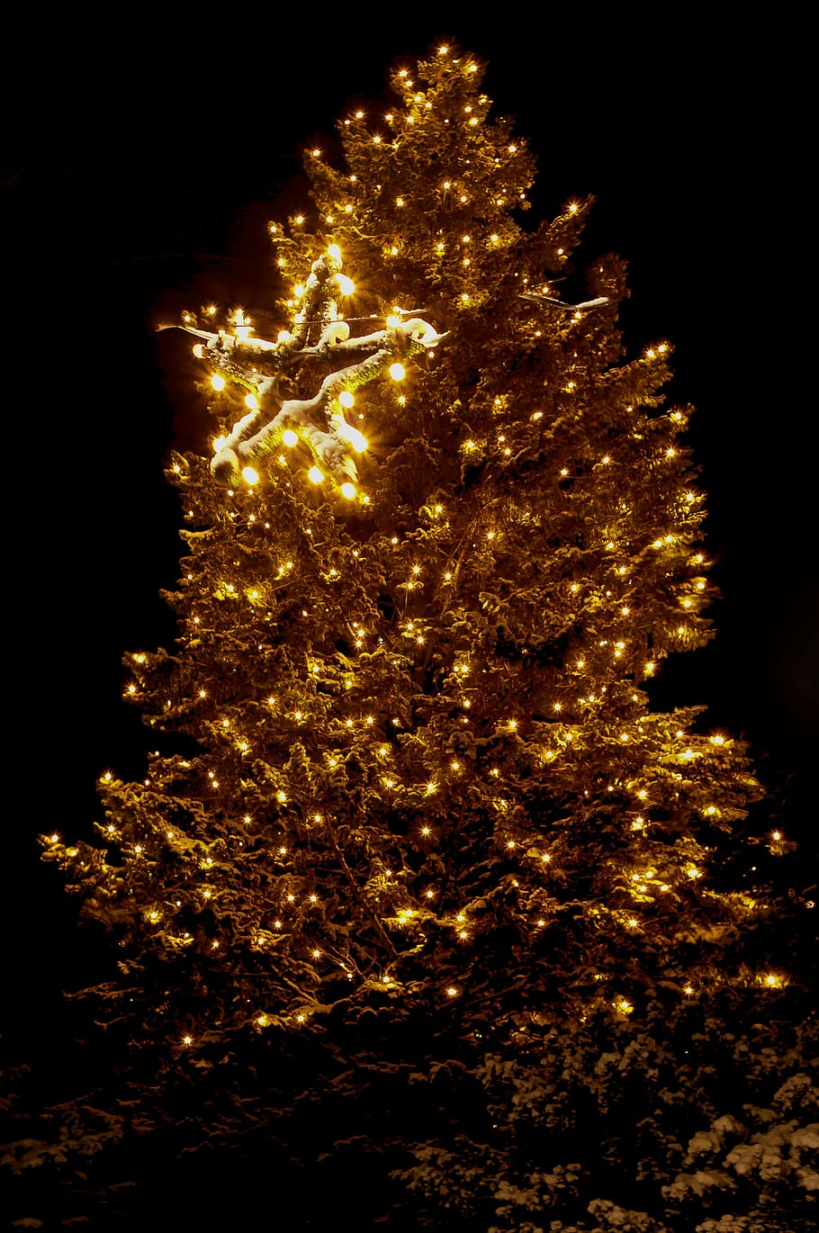 lighted, green, christmas tree, christmas, lights, christmas dream, snow, glass ball, lighting, tree