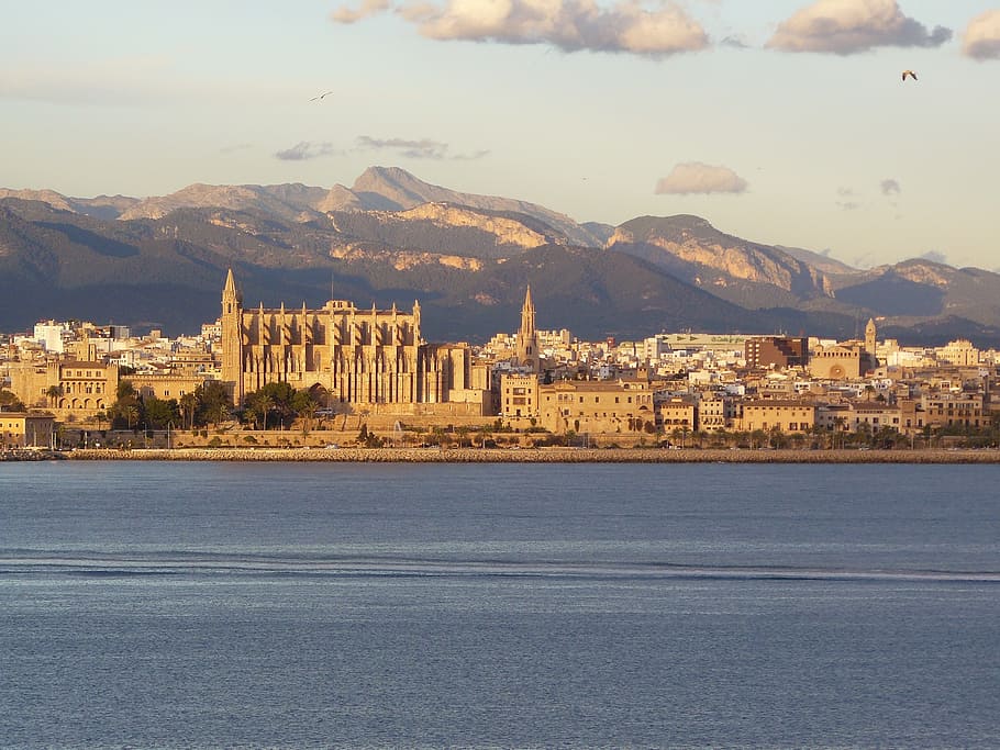 view of city, mallorca, palma de mallorca, palma, cathedral, city, church, spain, architecture, coast
