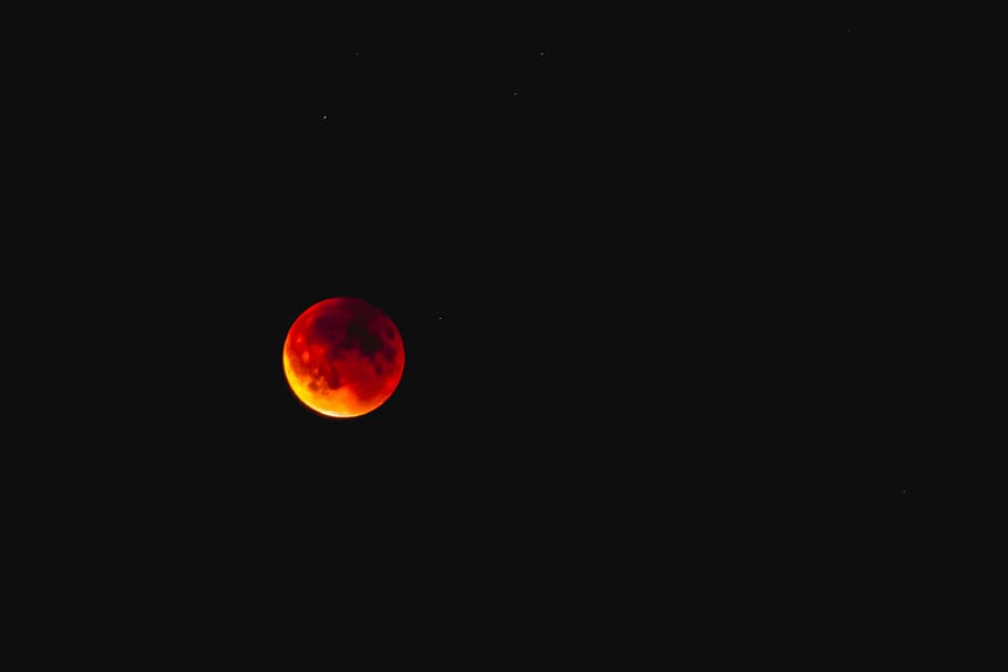 completo, vermelho, lua de sangue, lua, céu, escuro, assustador, astronomia, ninguém, noite