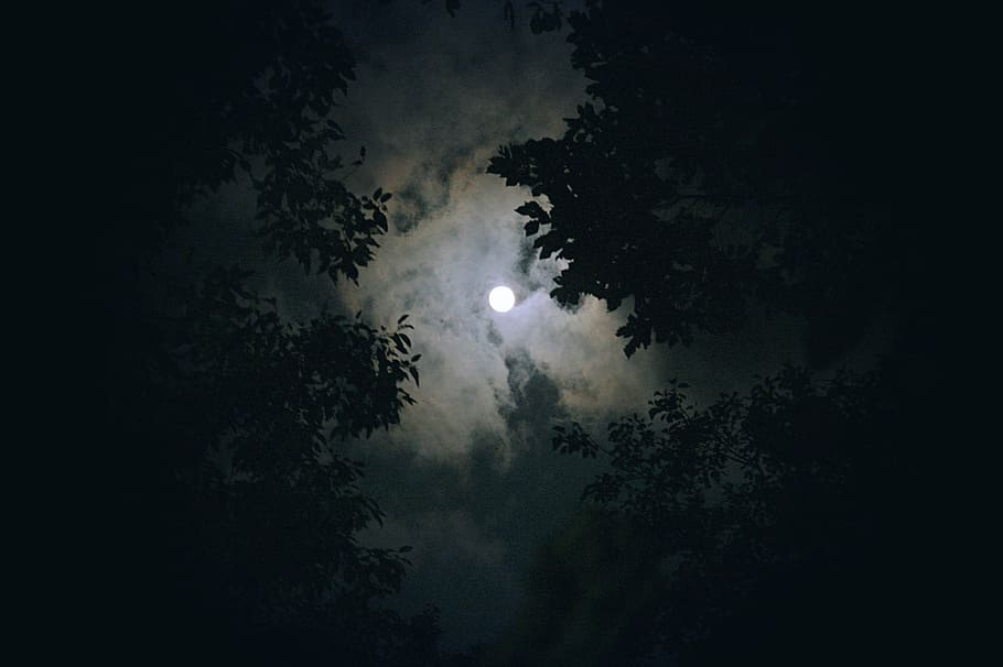 groundshot, moon, nighttime, cloud, night view, night, sky, in the evening, the night sky, atmosphere