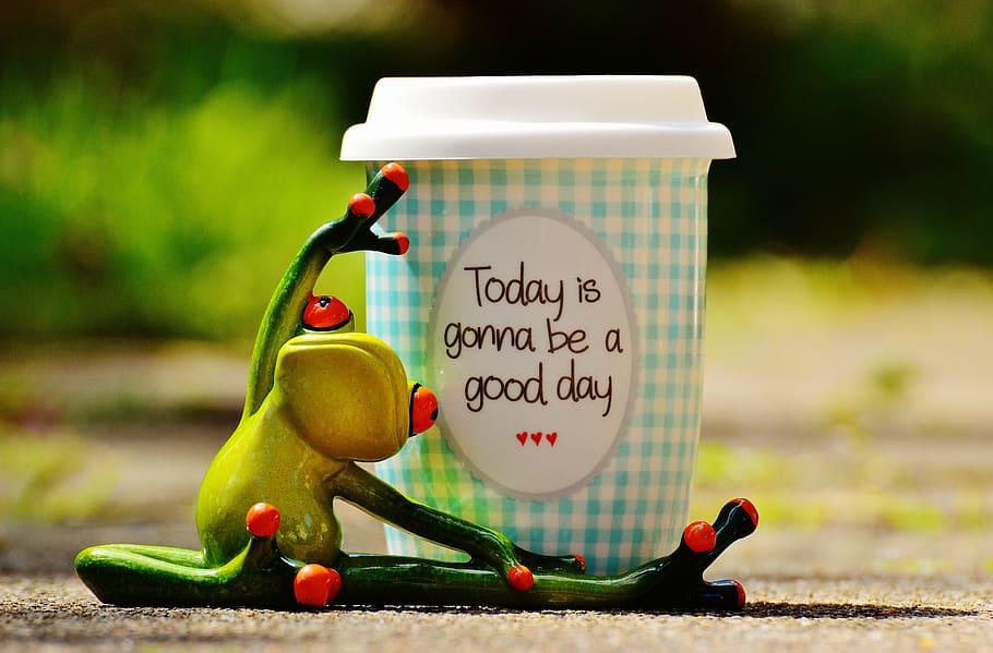 frog figurine, white, tumbler, beautiful day, joy, frog, coffee, cup, happy, happiness