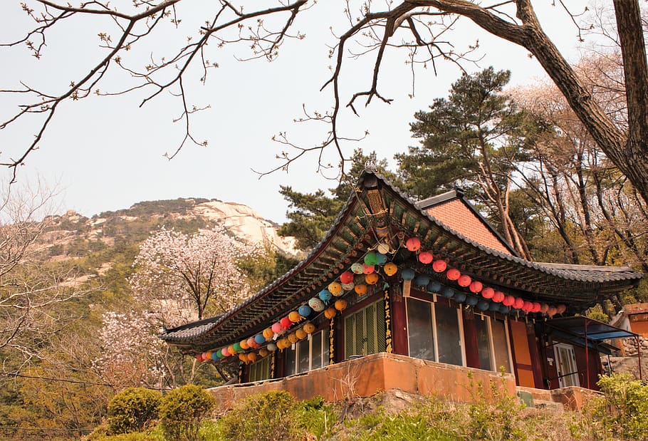 tradicional, templo, bukhansan, coreia do sul, coreia, árvore, plantar, arquitetura, estrutura construída, exterior do edifício
