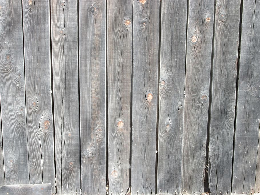 Foto, gris, madera, cerca, patrón, textura, fondo, tablero, áspero, natural