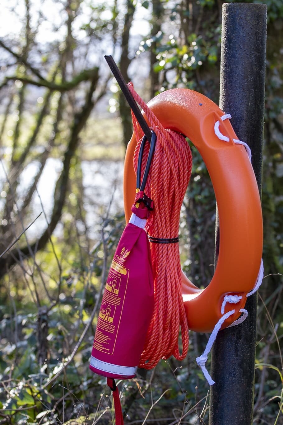 lifebuoy, ring, rope, emergency, safety, water, swim, hanging, tree, day