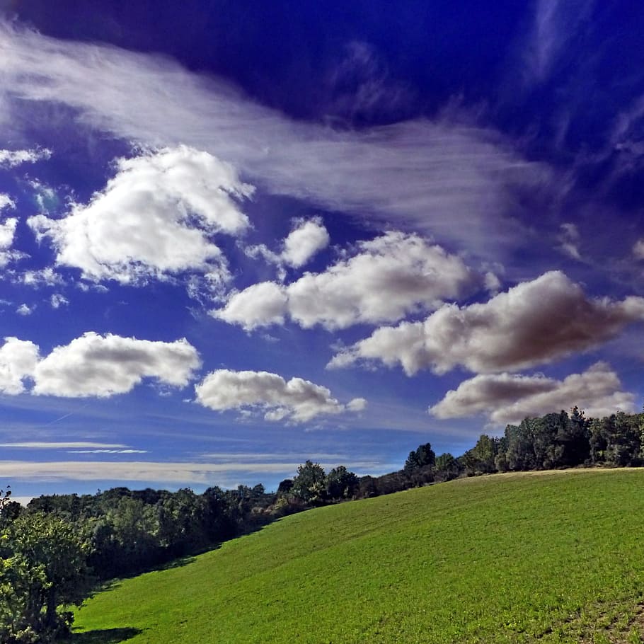Aude, en, Novembre, Prancis, pohon, lapangan, berawan, langit, awan - langit, adegan tenang