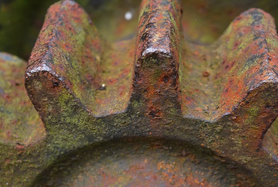gear, gears, sprocket, rust, metal, macro, close-up, focus on foreground, tree, plant