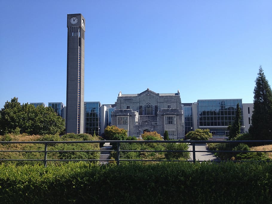torre do relógio, universidade, colúmbia britânica, biblioteca, velho, cênica, campus, vancouver, construção de pedra, moderna