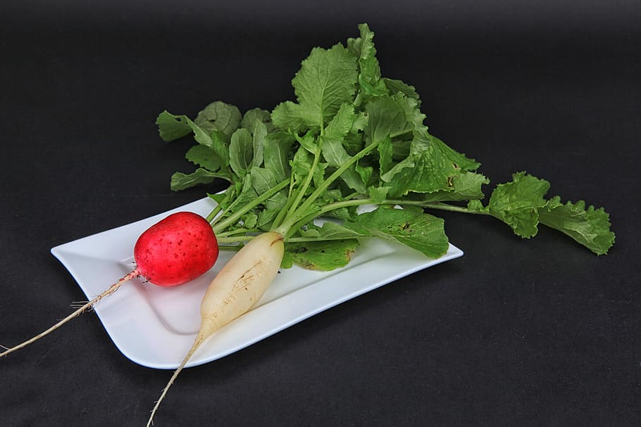 radishes, harvest, vegetables, salad, radish, raw food, plate, eat, food, raw
