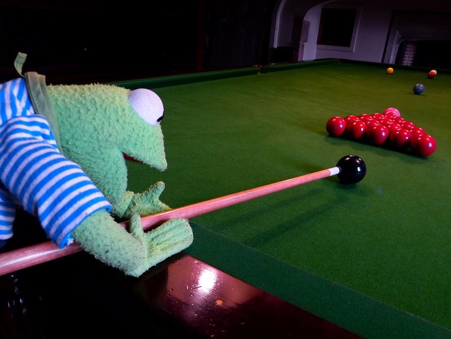 kermit, frog, billiards, balls, black, play, table, company, pool table, juze