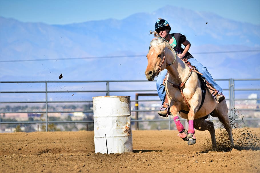 kuda, perlombaan barel, pengendara, penunggang kuda, kuartal kuda, rodeo, ras, palomino, kuda betina, cowgirl