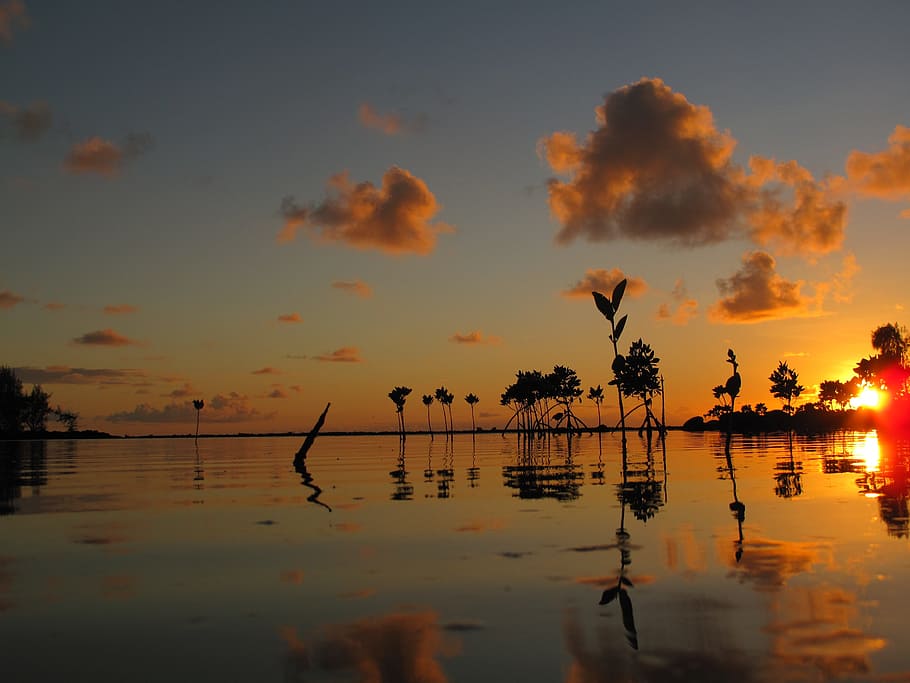 Matahari Terbit, Mauritius, Roman, Laut, refleksi, matahari terbenam, bayangan hitam, danau, alam, air