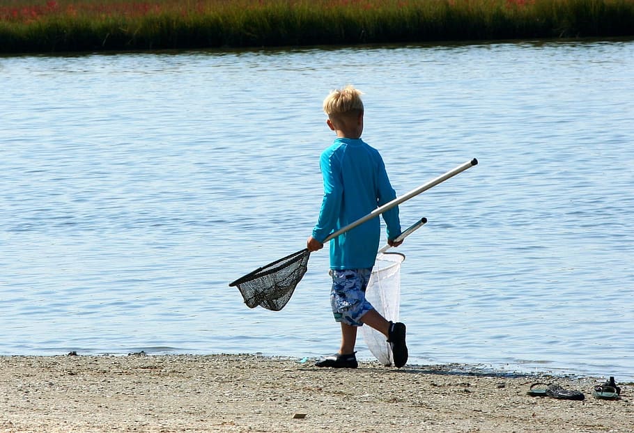 boy, holding, two, nets, walking, seashore, Fishing Nets, Crabbing, Youth, water