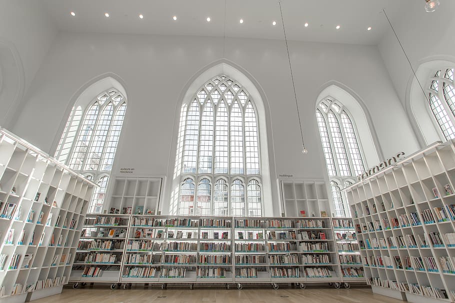 books, white, wooden, bookshelves, library, church, architecture, light, window, quebec city