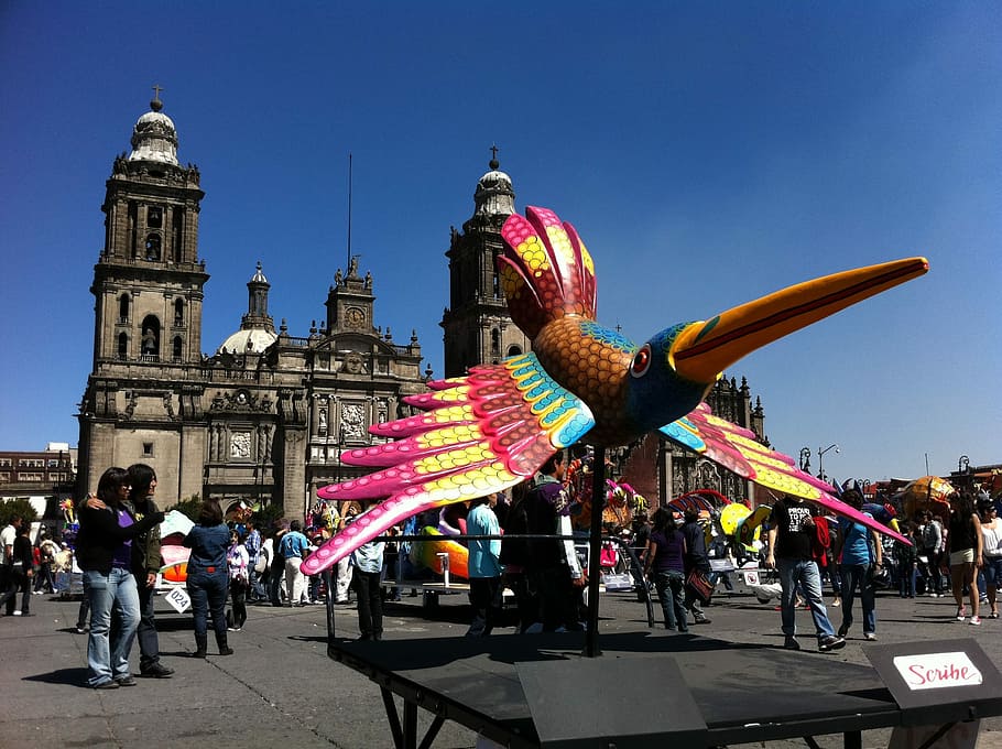 multicolored bird decor, Socket, Mexico City, Historic Centre, zocalo, alebrije, hummingbird, event, little bird, birds