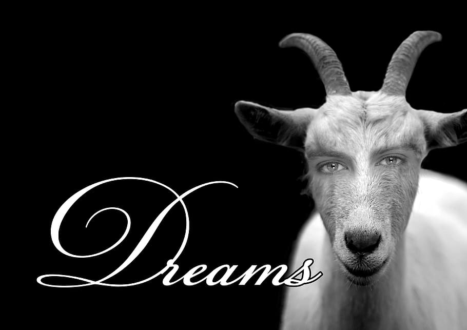 grayscale photography, goat, dreams text overlay, Dream, Eyes, Human, Animal, Devil, Satan, human, animal