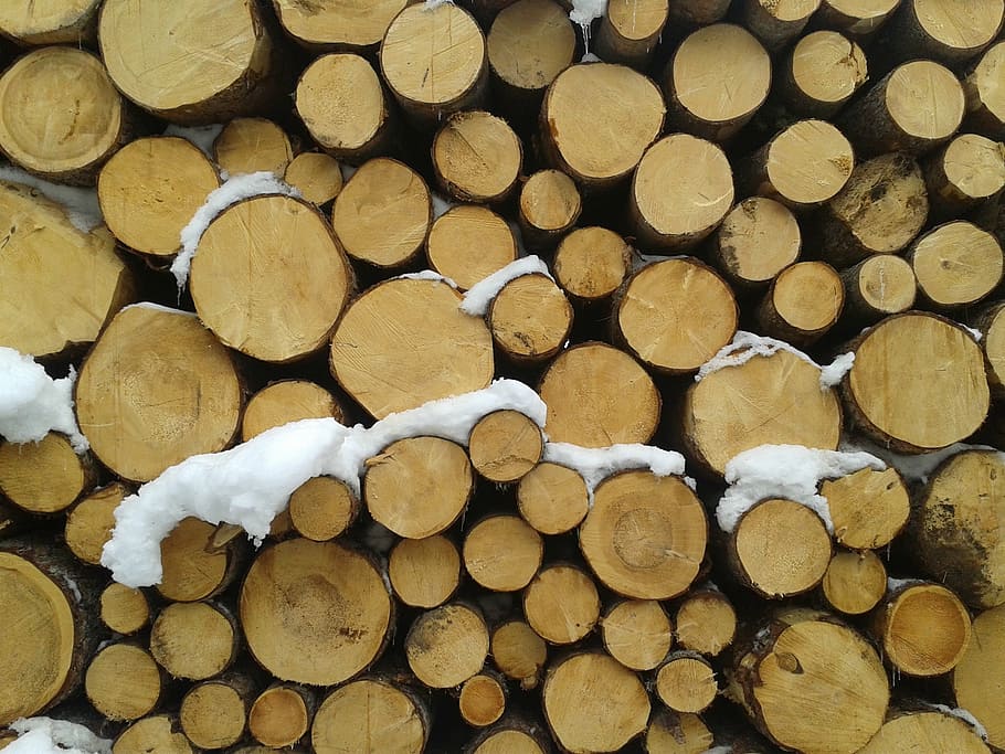 snow, trunks, cut, log, firewood, timber, wood, stack, wood - material, lumber industry
