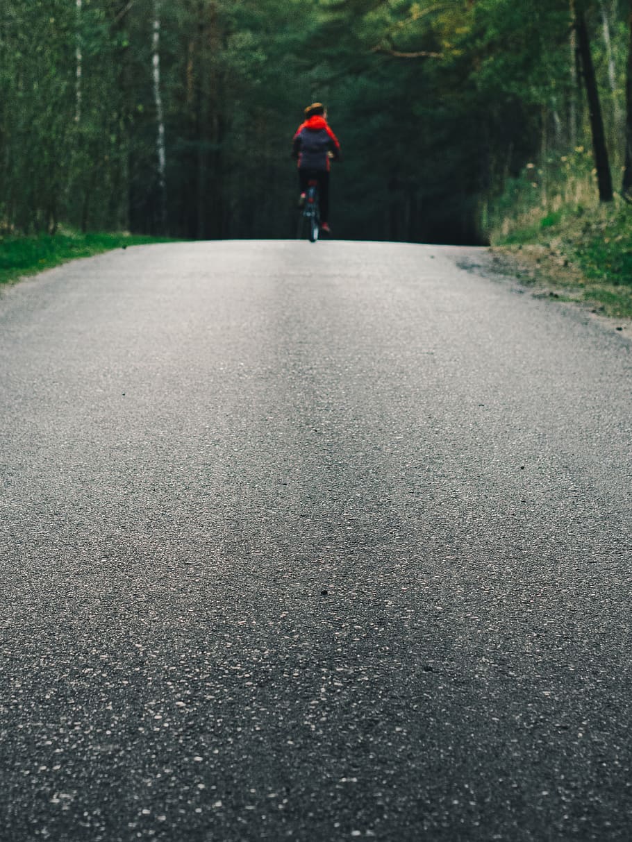 cyling, biking, road, forest, nature, woods, cycle, environment, asphalt, riding