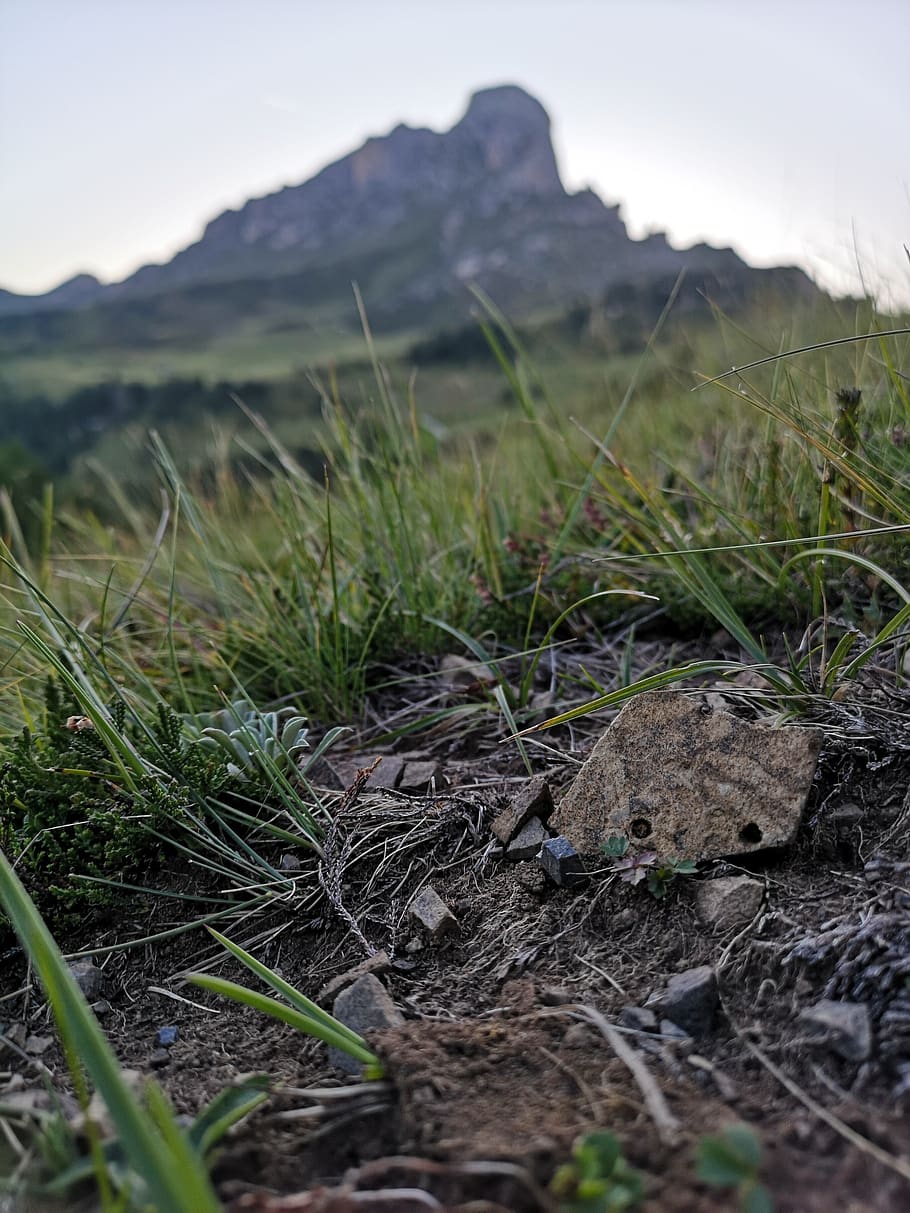 archaeology, alps, mountain, stone, ceramics, find, grass, mythical, plant, land