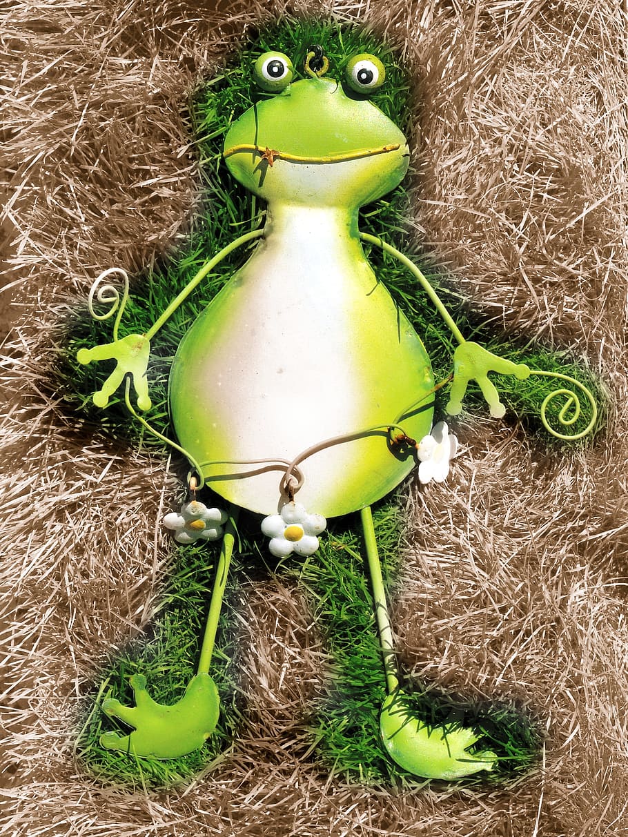 개구리, 녹색, 녹색 개구리, 닫기, 두꺼비, maerechenfiguren, 개구리 왕자, 이상한, 동물, 잔디