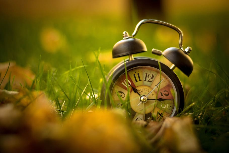bell alarm clock, placed, green, grass, clock, alarm, time, alarm clock, plant, selective focus