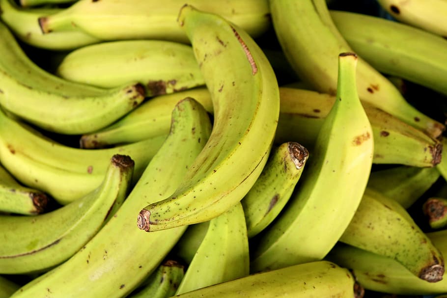 pisang, pasar, buah, kuning, sehat, makanan, semak pisang, petani pasar lokal, nutrisi, keranjang buah