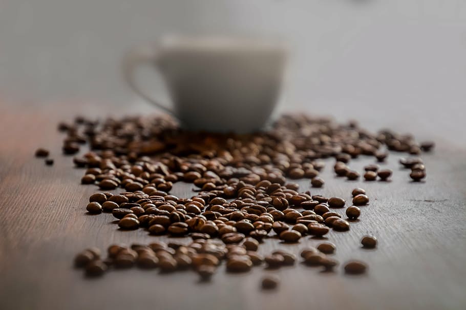 grãos de café, branco, cerâmica, xícara de chá, café, xícara de café, xícara, cafeína, bebida, feijão