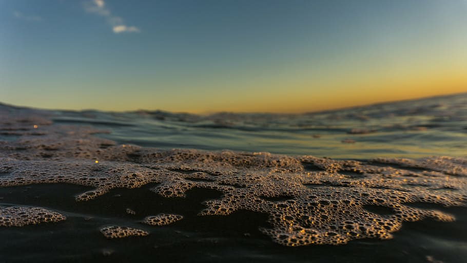 selectivo, fotografía de enfoque, burbujas, bajo, ángulo, foto, burbujeante, playa, agua, puesta de sol