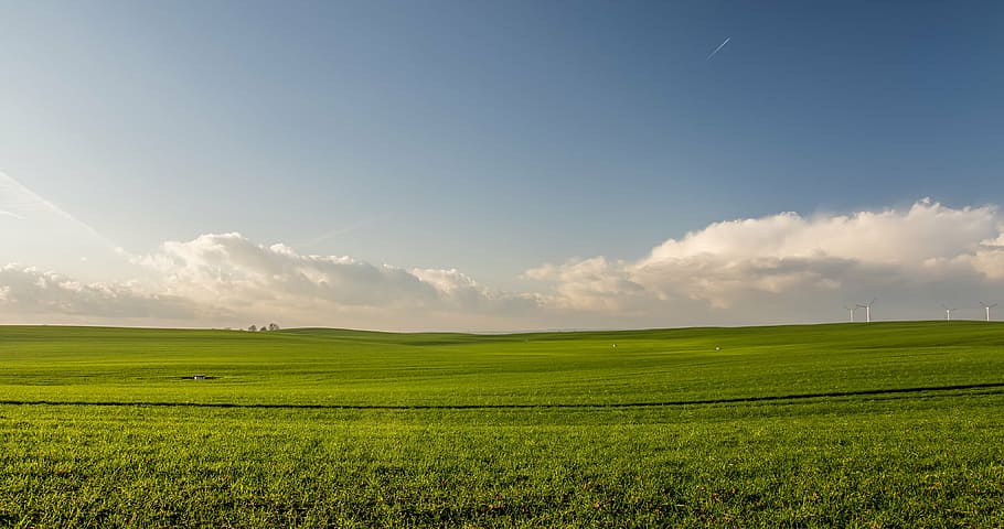 hijau, bidang rumput, daytie, rumput, lapangan, pertanian, tanaman, alam, awan, langit