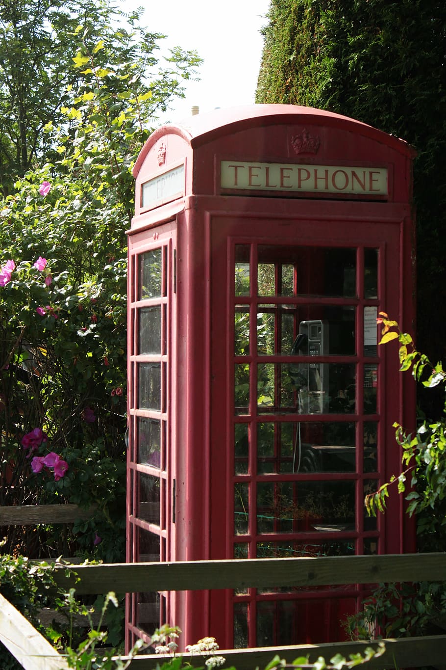 phone, scotland, nature, uk, summer, shrubs, overgrown, telephone booth, communication, text