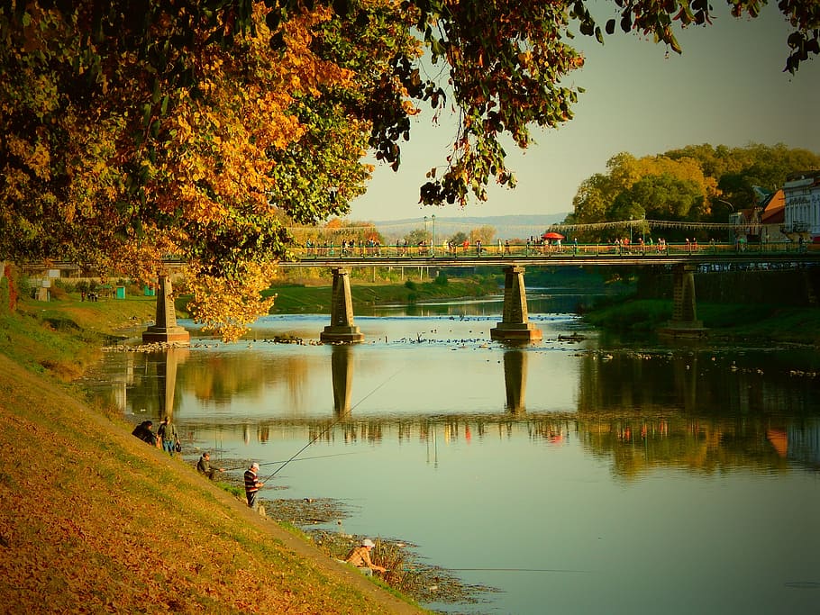 río, reflexión, naturaleza, viajar, puente, al aire libre, paisaje, hoja, otoño, papel pintado