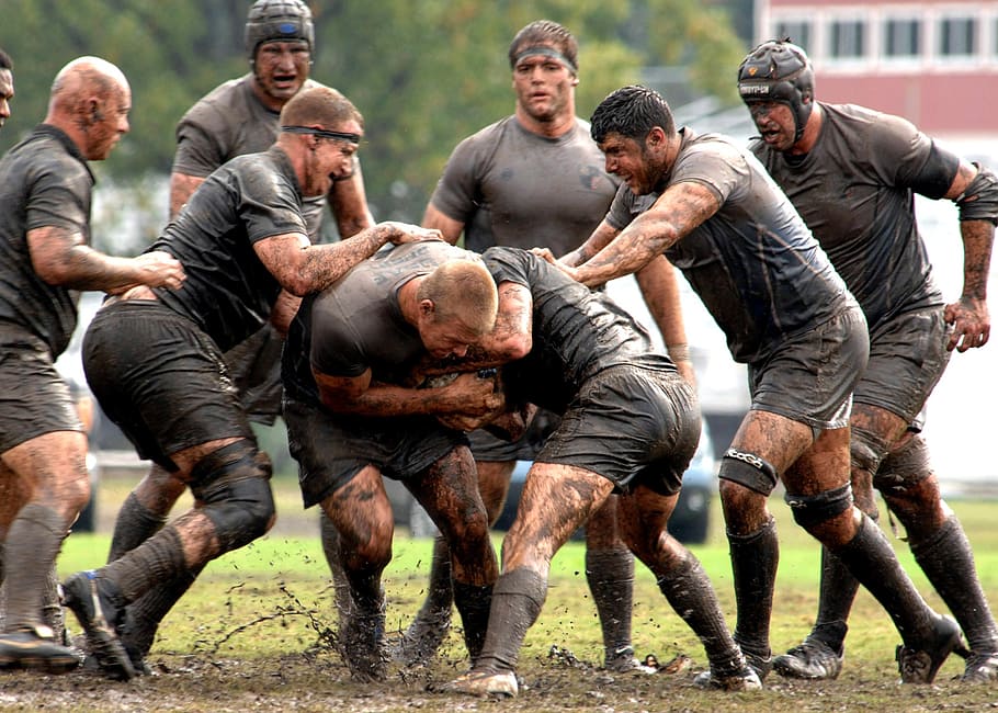 several, man, rugby training, daytime, rugby, football, sport, game, teams, athletes