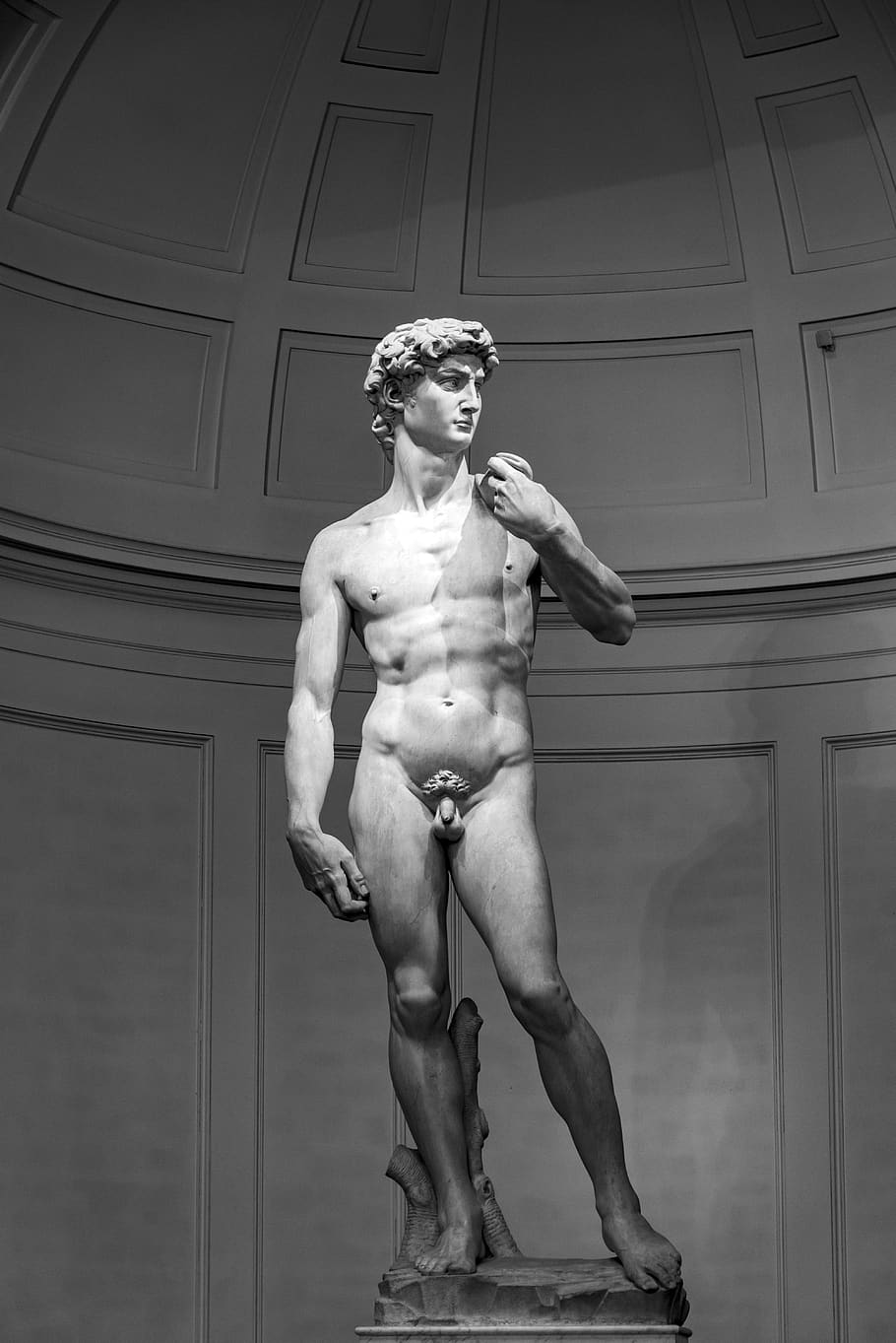 david, michelangelo, florence, italy, statue, museum, sculpture, representation, male likeness, human representation