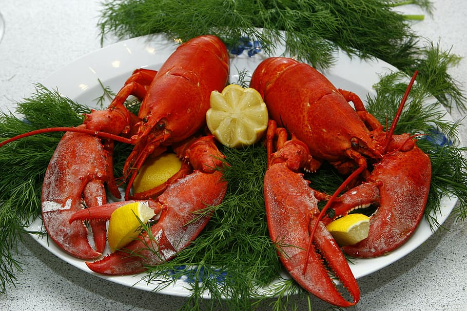 cooked, lobsters, sliced, limes, lobster, danish, limfjord lobster, dill, seafood, delicacy