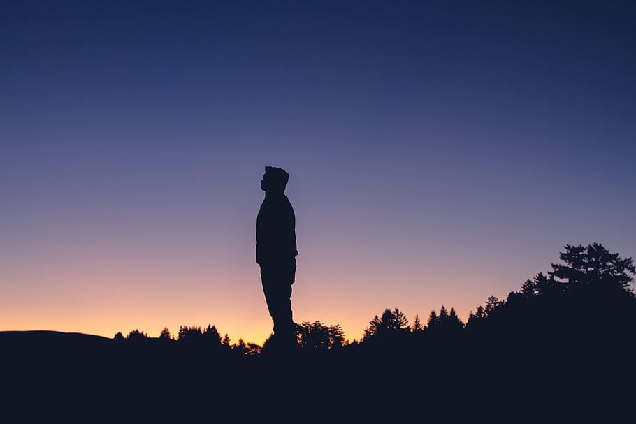 silhouette, person, standing, surrounded, leafed, trees, man, guy, dusk, sky