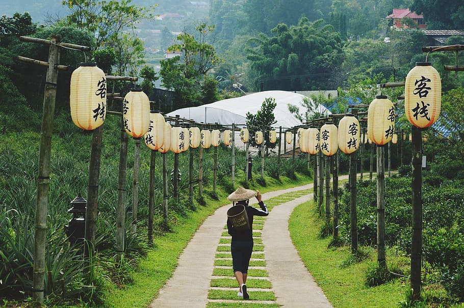 persona, para caminar, poste de bambú, rodeado, verde, hojeado, árboles, negro, traje, césped