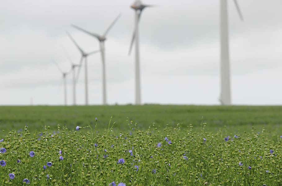 Turbin Angin, Lin, Perancis, Pantai Opal, lanskap, tenaga angin, pertanian, energi alternatif, lapangan, pelestarian lingkungan