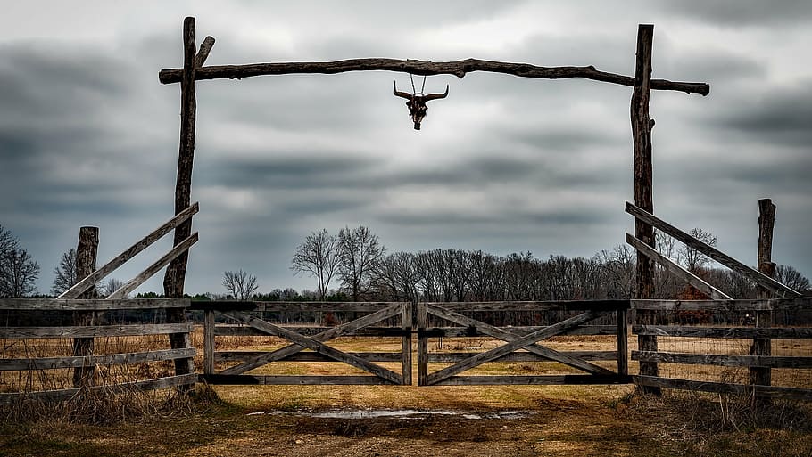 brown wooden fence, texas, ranch, entrance, fence, cow skull, hdr, sky, clouds, landscape