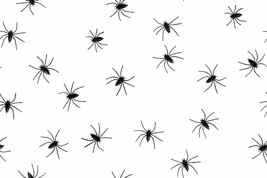 ilustración de arañas negras, animales, aracnofobia, sin costura, fondo, peligro, miedo, grupo, halloween, horror