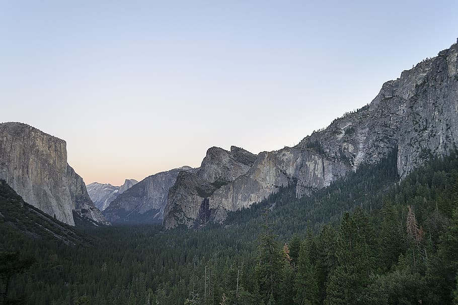 yosemite, national park, california, landscape, nature, valley, wilderness, outdoors, forest, mountain