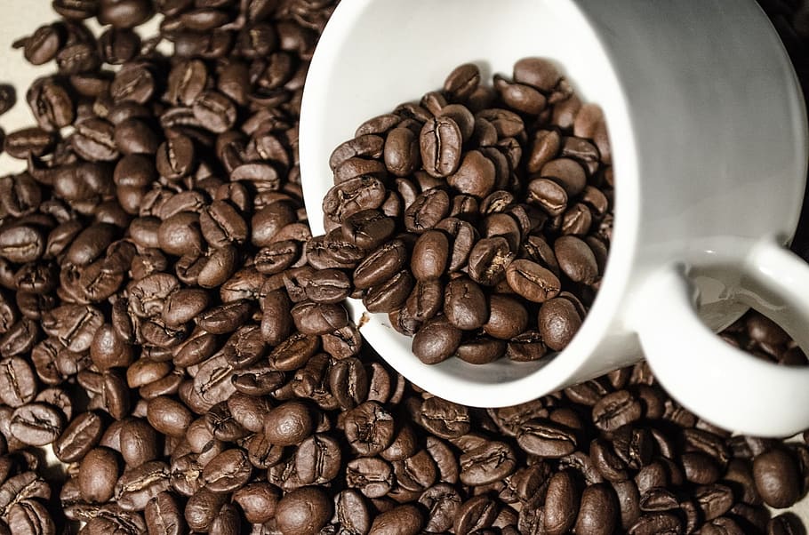 roasted, coffee beans, white, coffee cup, aroma, aromatic, beverage, bio, black, break