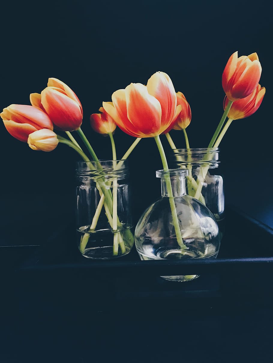 laranja, tulipas, frascos de vidro, vermelho, flor, limpar, vidro, vasos, escuro, mesa