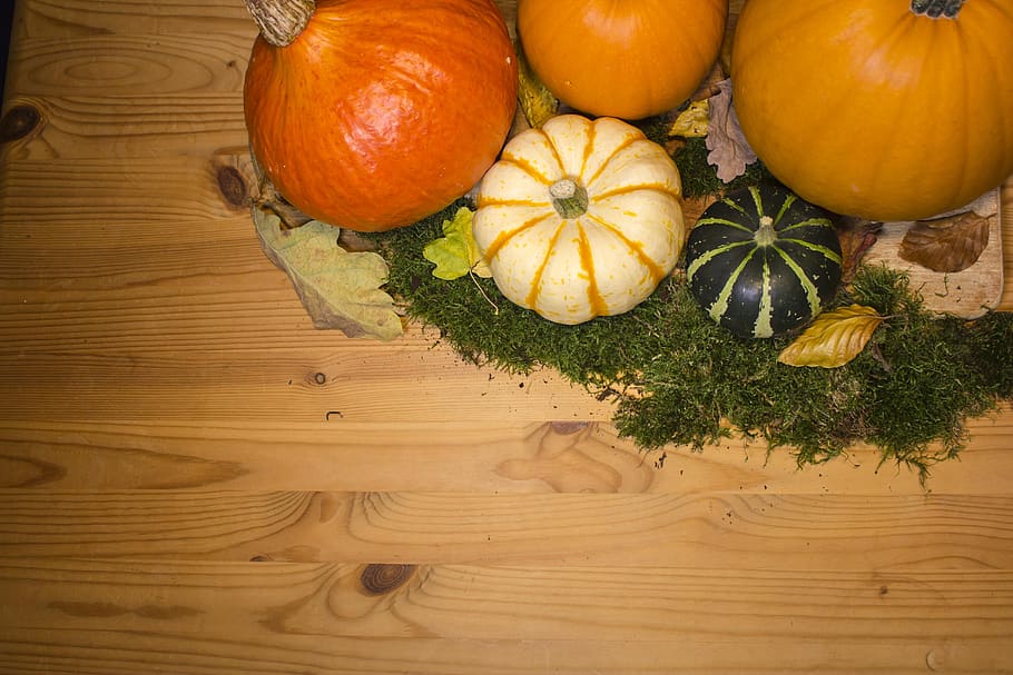 calabaza, calabazas, fondo, otoño, parche, alimentos, azul, halloween, blanco, decoración