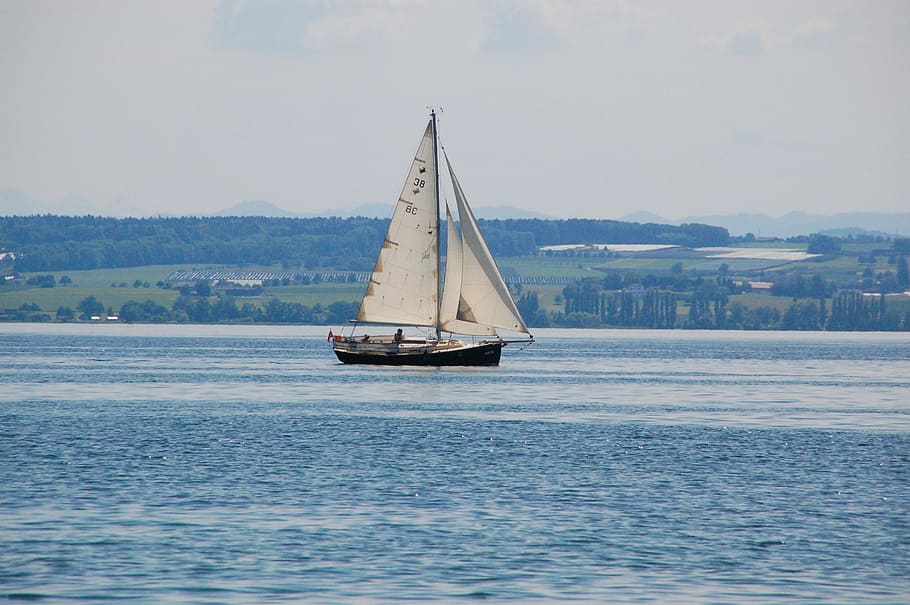 Lake Constance, Constance, Lake, Water, lake, summer, sailing boat, sea, waterfront, nautical vessel, transportation