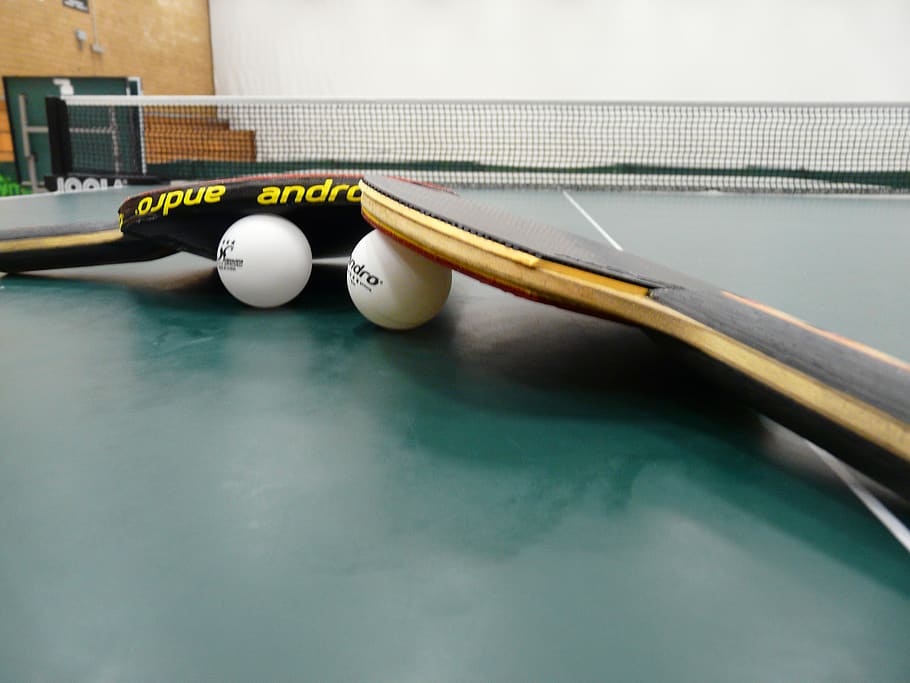 table tennis, ping-pong, bat, table tennis bat, sport, play, table, ball, indoors, sports equipment