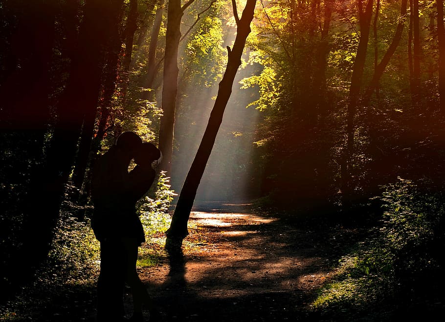 silhouette, man, woman, trees, pair, lovers, forest, romance, sunlight, incidence of light