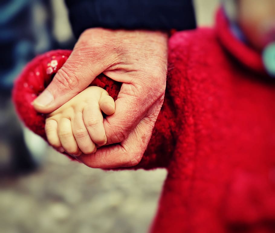 selective, photography, person, holding, hands, baby, hand, small child, learn, keep
