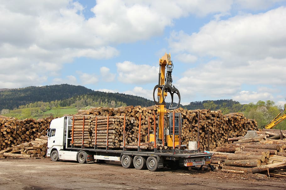 caminhão, transporte, madeira, toras, indústria, equipamento, pilha, madeira serrada Indústria, negócios, céu