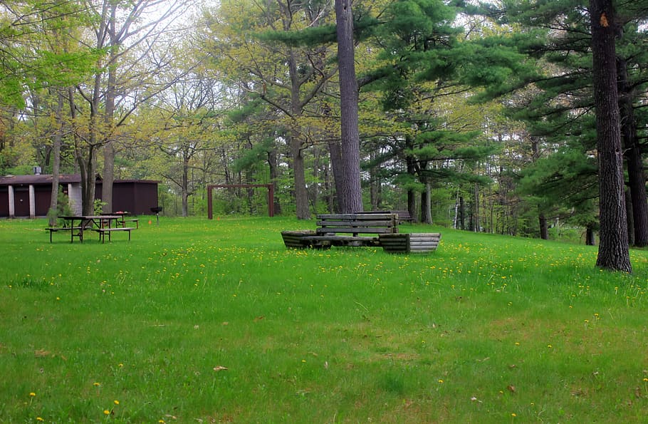 gramado, campo, Banco, Council Grounds State Park, Wisconsin, paisagem, árvore, natureza, grama, ao ar livre