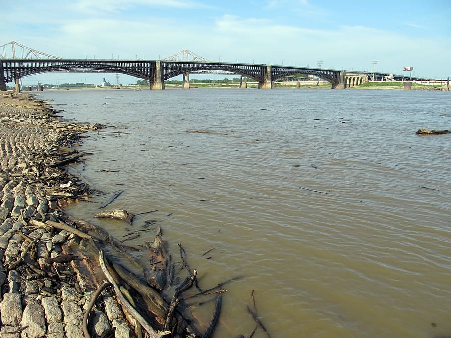 mississippi, river, riverbank, levee, bridge, driftwood, float, muddy, water, flood