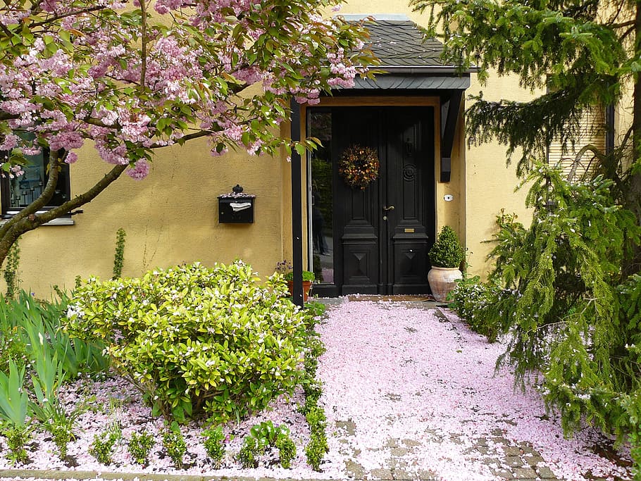 fallen, sakura, leaves, doorway, house entrance, flowers, blossom, bloom, petals, flora